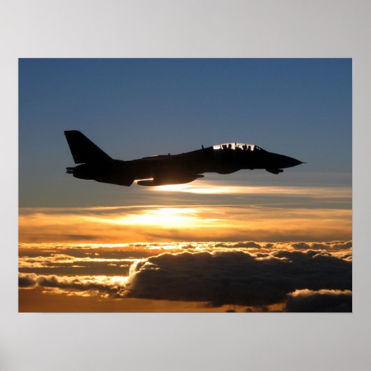 F-14D Tomcat Poster (Voorkant)