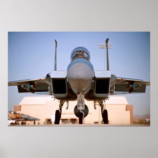 F-15 Vliegtuig met breukrijst Poster (Voorkant)