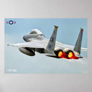F-15C ELGF POSTER