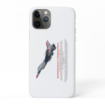 F-16 Fighter Jet tegen valk