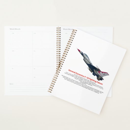 F-16 Fighter Jet tegen valk Planner (Display)