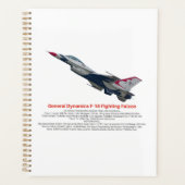 F-16 Fighter Jet tegen valk Planner (Voorkant)