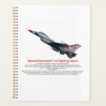 F-16 Fighter Jet tegen valk