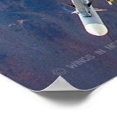 F-16C FALCON POSTER (Hoek)