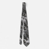 F-22 CRAVATE RAPTOR (Dos)