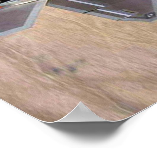 F-22 Raptor Poster (Hoek)