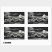 F-22 RAPTOR-rechthoekschakelaars Rechthoekige Sticker (Vel)