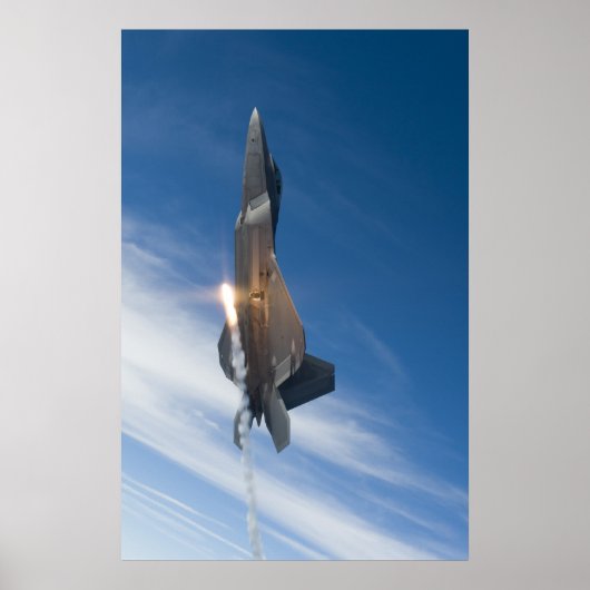 F-22 roofvogel poster (Voorkant)