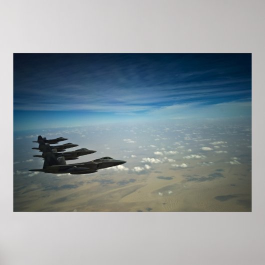 F-22 roofvogels poster (Voorkant)