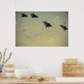 F-22 roofvogels poster (Keuken)