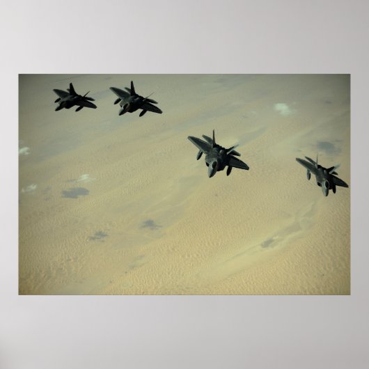 F-22 roofvogels poster (Voorkant)