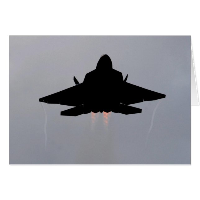 F-22 STEALTH FIGHTER (Voorkant Horizontaal)