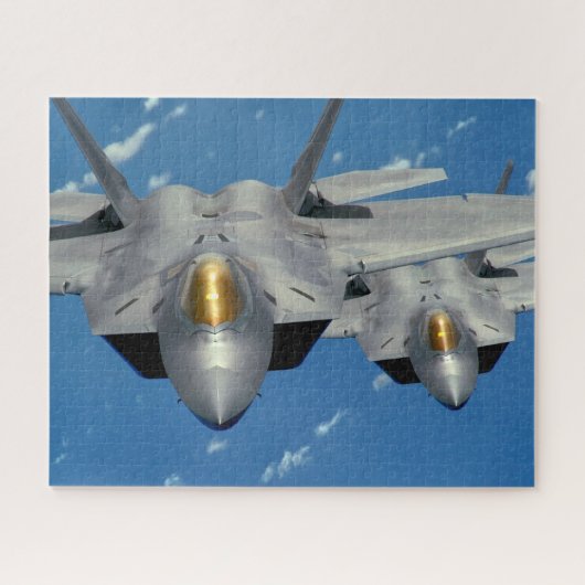 F-22A RAPTOR (16x20 INCH) Legpuzzel (Horizontaal)