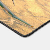 F-4 PHANTOM en F-22 RAPTOR Bureaumat (Hoek)