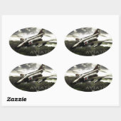F-4 Phantom Fighter Jet Ovale Sticker (Vel)
