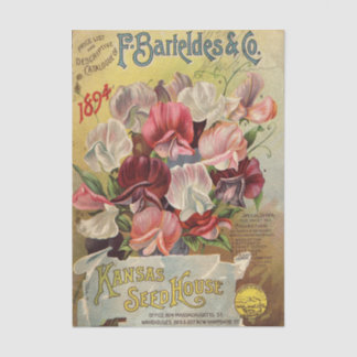 F. Barteldes & Co 1894 Vintage Seed Catalog Tissuepapier