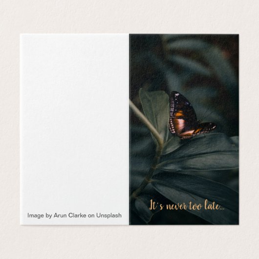 F. Scott Fitzgerald (Outside Unfolded)