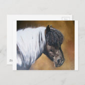 FAA-AfroPony Briefkaart (Voorkant / Achterkant)