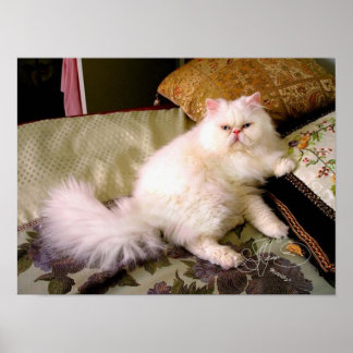 faabuuuuuloussss!!!!! poster