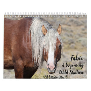 Fabio Een Wilde Wyoming Hengst Kalender