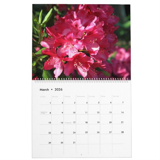 Fabuleuses fleurs Calendrier 15 mois (Mar 2026)