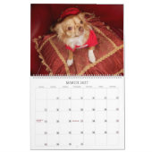 Fabulous chihuahua, kalender 2013 (Mar 2027)