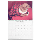 Fabulous chihuahua, kalender 2013 (Feb 2027)