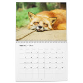 Fabulous Foxes 2025 Kalender (Feb 2026)
