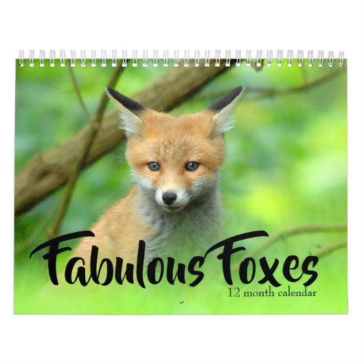 Fabulous Foxes 2025 Kalender (Hoes)