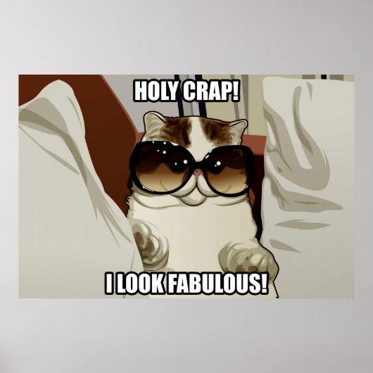 Fabulous Glasses Cat Poster (pt. 2) (Voorkant)