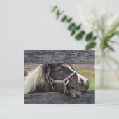 Face Donkey Briefkaart (Staand voorkant)