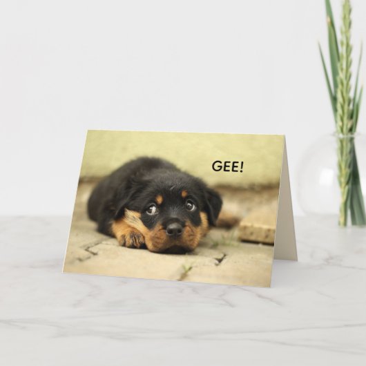 FACE DOUCE OBTENIR UNE CARTE DE BIEN (Devant)