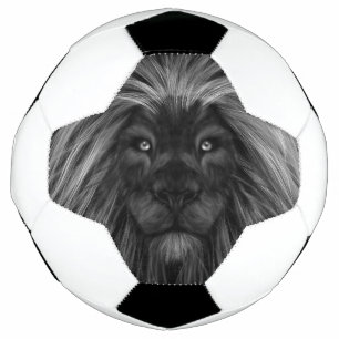 Face du lion