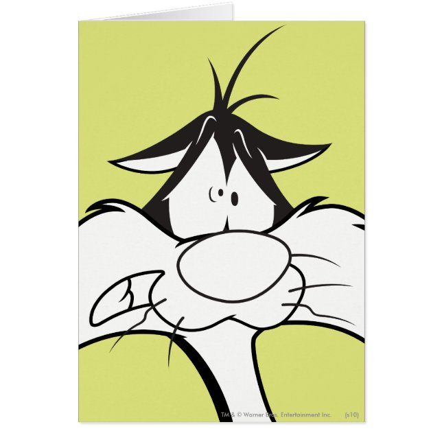 Face SYLVESTER™ (Devant)