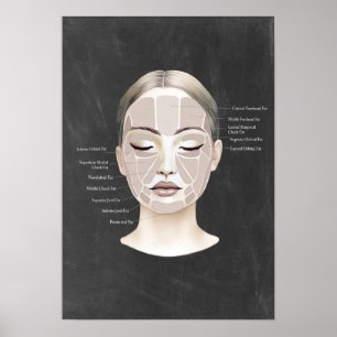 Facial Fat Pad Anatomy Beauty Spa Decor Poster