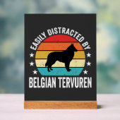 Facilement distrait par chien Tervuren belge (Neutre)