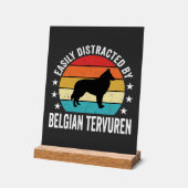 Facilement distrait par chien Tervuren belge (Angle)