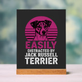 Facilement distrait par Jack Russell Terrier (Neutre)