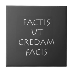 Factis ut credam facis tegeltje
