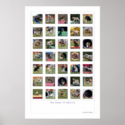 Factoren van behendigheid - Cocker Spaniel Edition Poster (Voorkant)