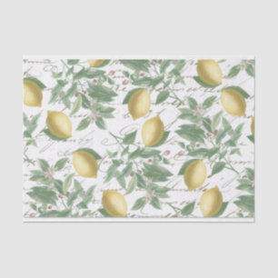 Faded Lemon Branch French Script Fruit  Tissuepapier