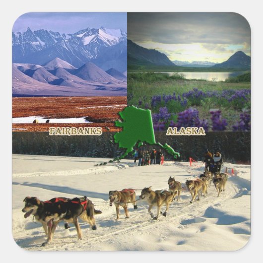 Fairbanks, Alaska Collage Vierkante Sticker (Voorkant)