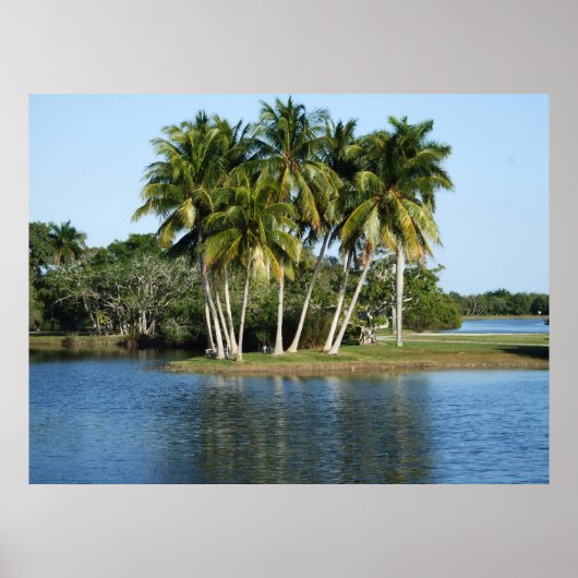 Fairchild Tropical Botanic Gardens Poster (Voorkant)