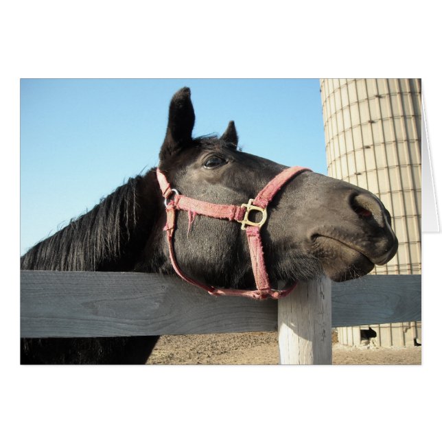 Faire du cheval autour (Devant horizontal)