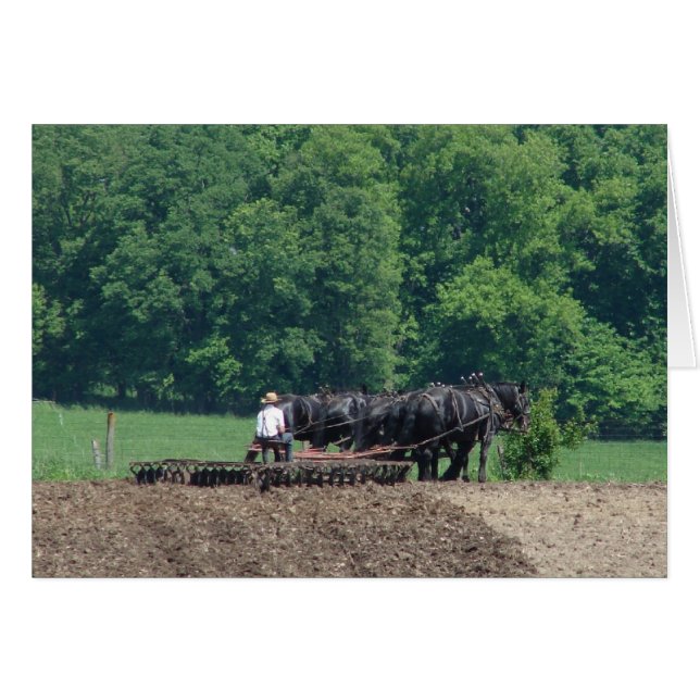 Faire équipe à six chevaux (Devant horizontal)