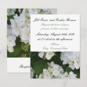 Faire invitation de mariage à l'hydrangea blanc él (Devant / Derrière)