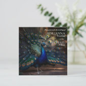 Faire invitation de mariage au paon (Debout devant)