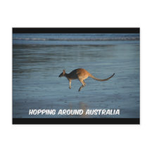 Faire le tour de l'Australie Kangaroo carte postal