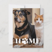 Faire-part Accueil Photo pour animaux de compagnie Nous avons (Devant)