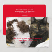 Faire-part Adoption du chat animal de compagnie, nom, votre p (Devant / Derrière)